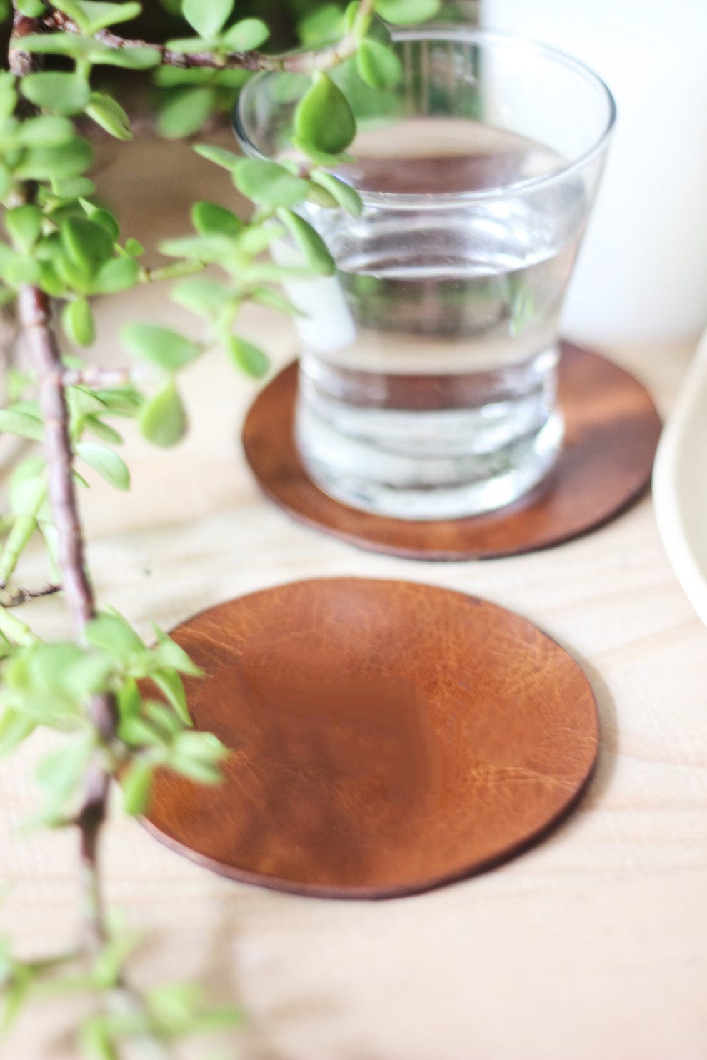 Luxury Leather Bottle Case with Coasters